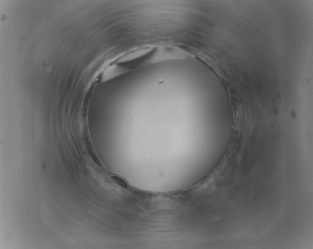 X0000075840290200610061854