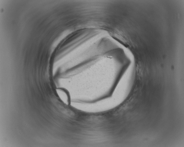 X0000075840292200610061854