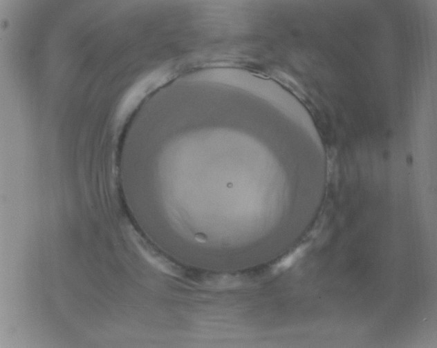 X0000075840293200610061854