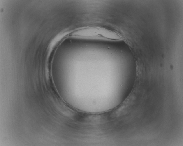 X0000075840294200610061854