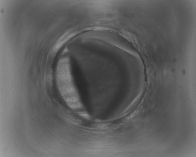 X0000075840295200610061854