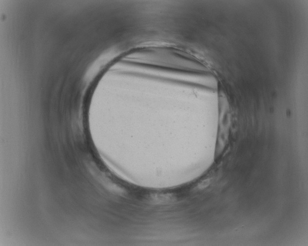 X0000075840296200610061854