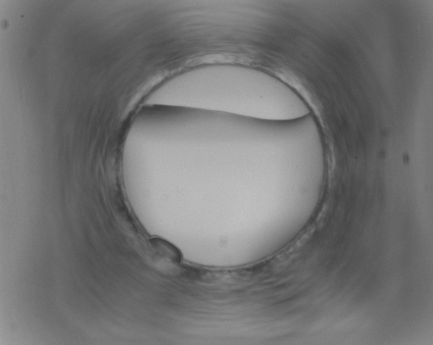 X0000075840297200610061854