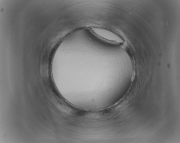 X0000075840299200610061854