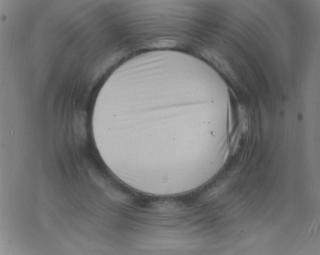 X0000075840300200610061854