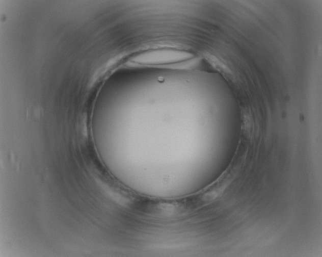 X0000075840302200610061854