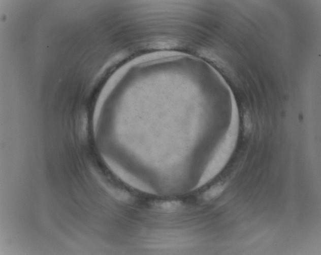 X0000075840304200610061854