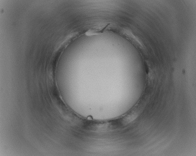 X0000075840306200610061854