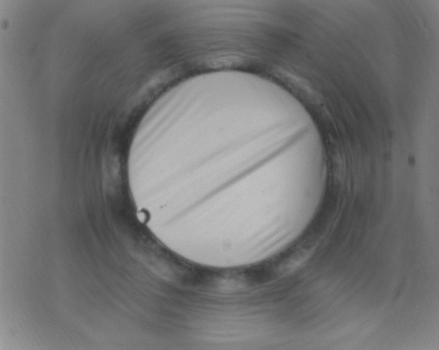 X0000075840308200610061854