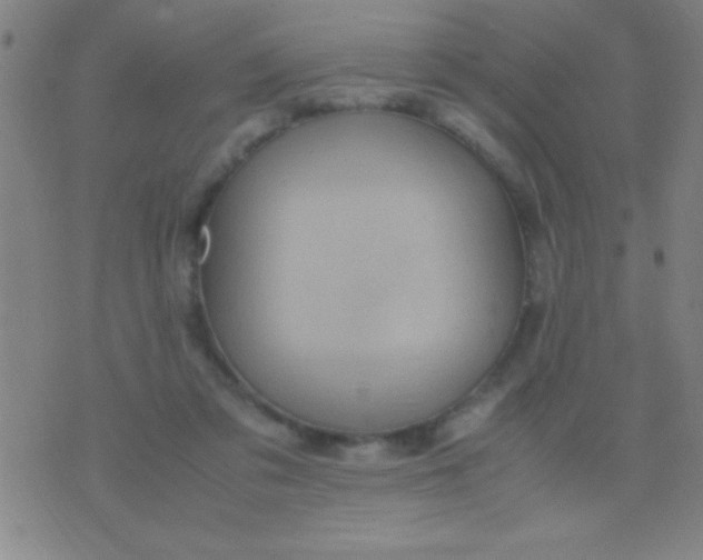 X0000075840309200610061854