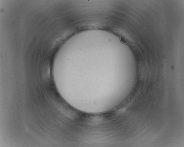 X0000075840310200610061854