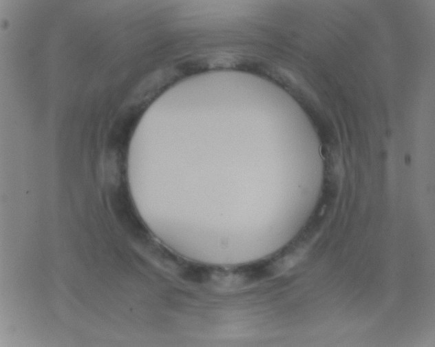 X0000075840311200610061854