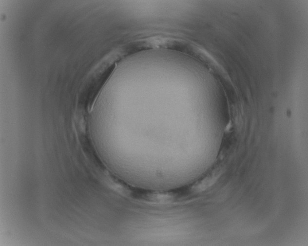 X0000075840313200610061853