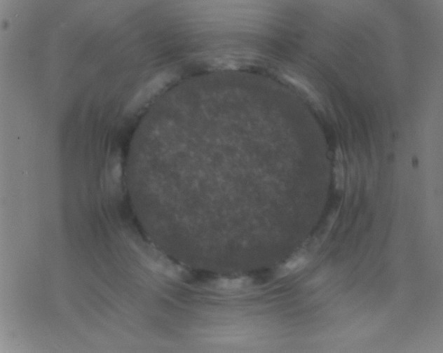 X0000075840314200610061853