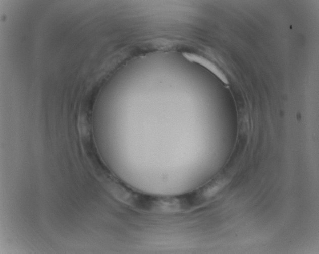 X0000075840317200610061853