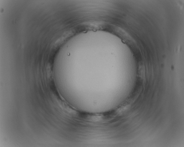 X0000075840318200610061853