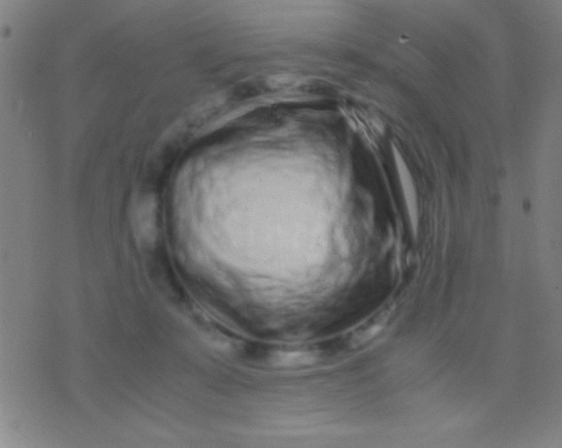 X0000075840319200610061853