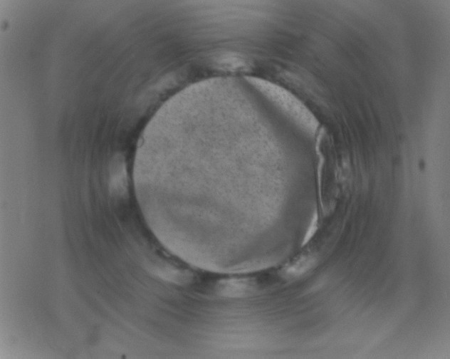 X0000075840320200610061853