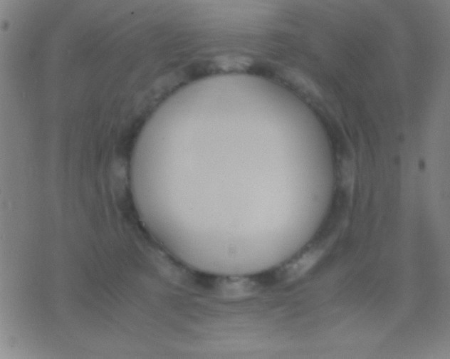 X0000075840321200610061853