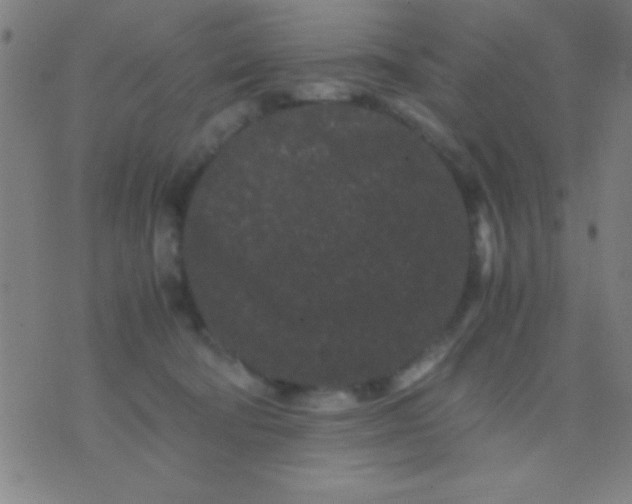 X0000075840322200610061853