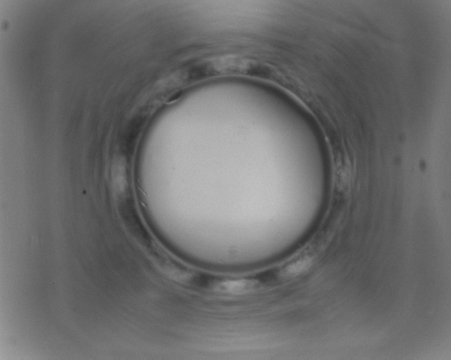 X0000075840323200610061853