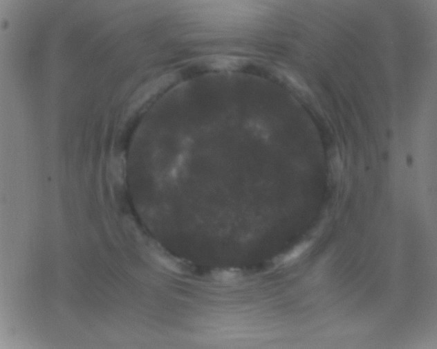 X0000075840325200610061853