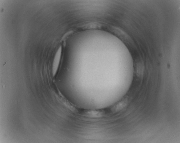 X0000075840326200610061853