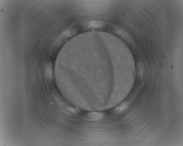 X0000075840328200610061853