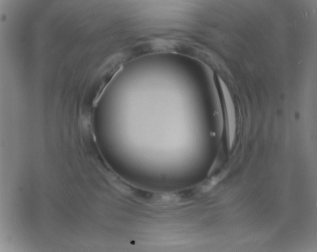 X0000075840329200610061853