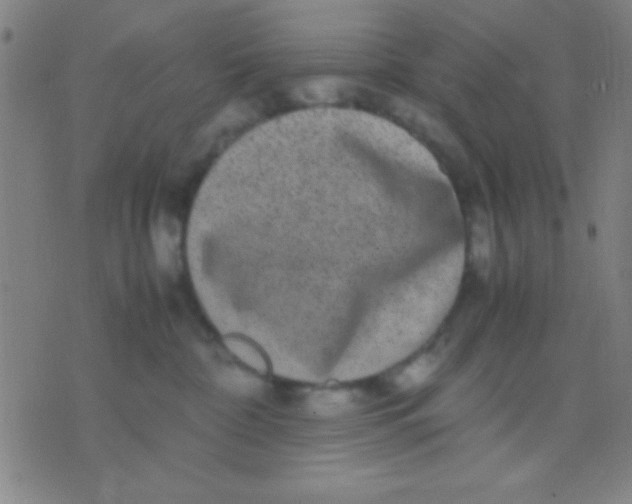 X0000075840332200610061853