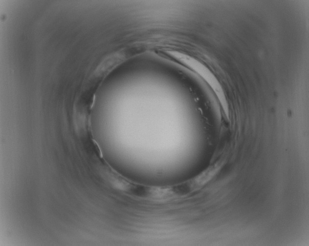 X0000075840333200610061853