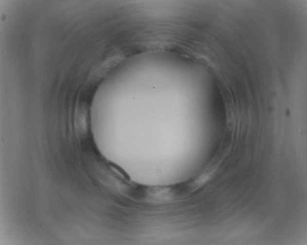 X0000075840334200610061853