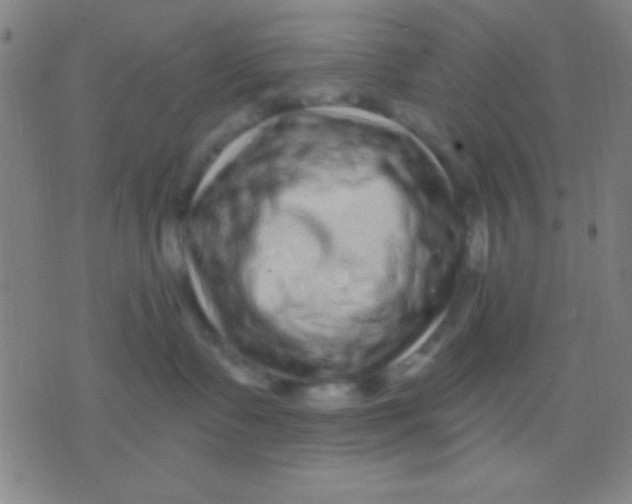 X0000075840335200610061853