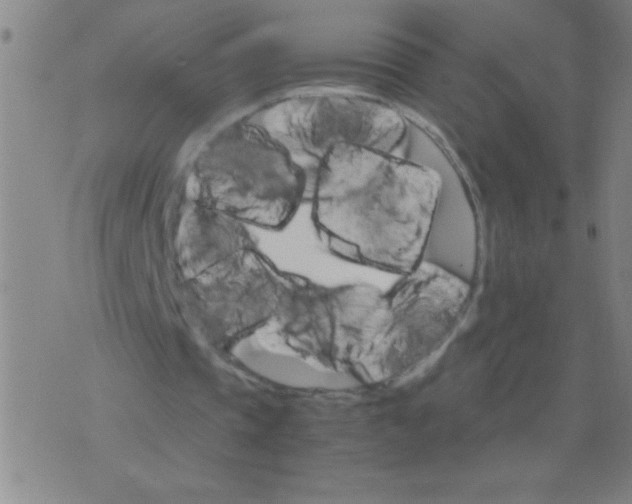 X0000075840337200610061852