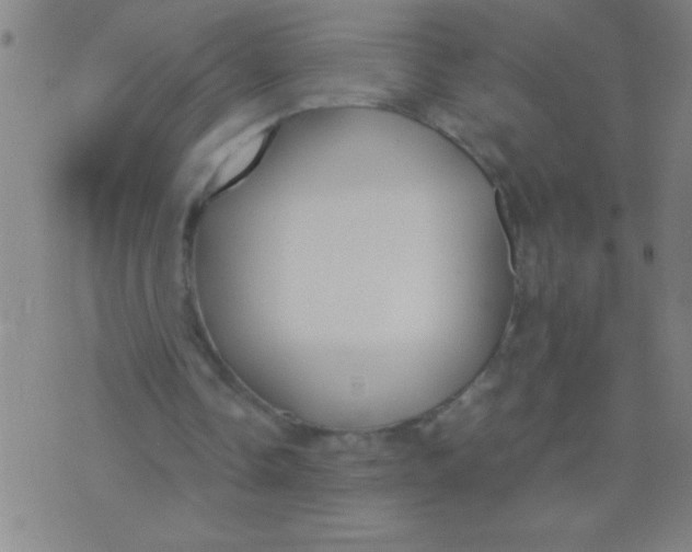 X0000075840338200610061852