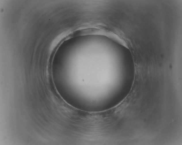 X0000075840340200610061852