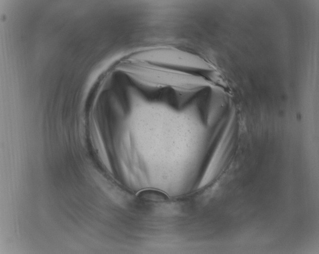 X0000075840342200610061852