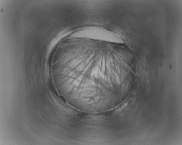 X0000075840343200610061852