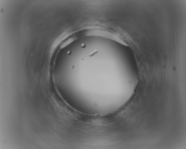 X0000075840344200610061852