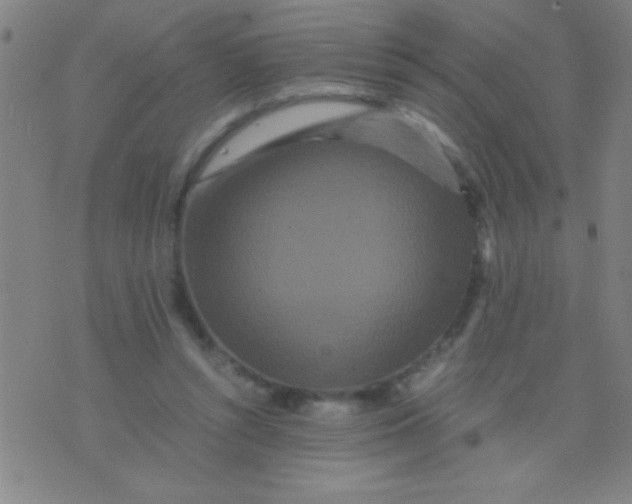 X0000075840352200610061853