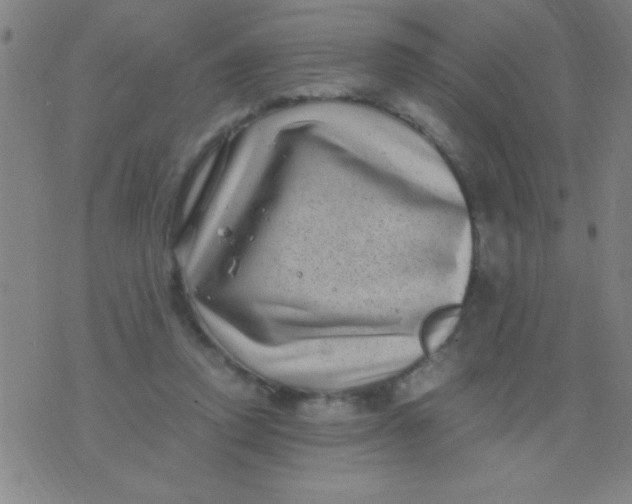 X0000075840354200610061853