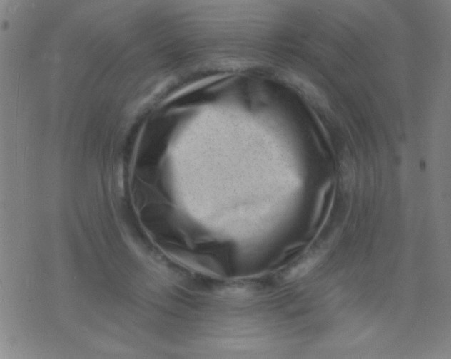 X0000075840358200610061853