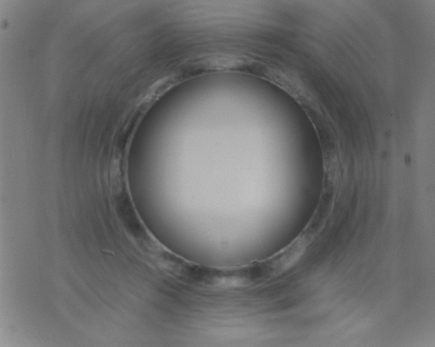 X0000075840360200610061853