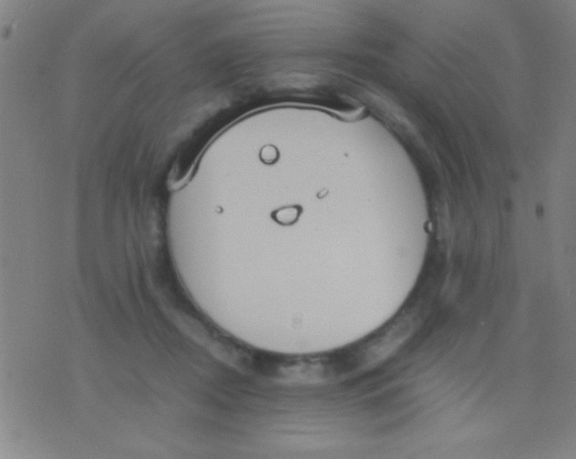 X0000075840362200610061853