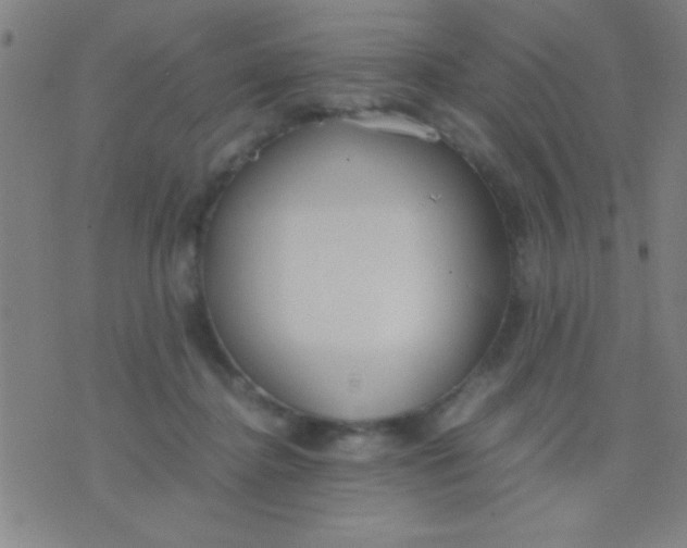 X0000075840364200610061853