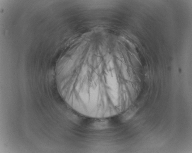 X0000075840369200610061853