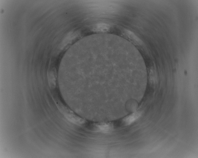 X0000075840370200610061853