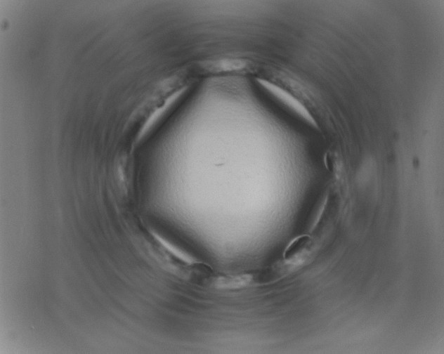 X0000075840373200610061853