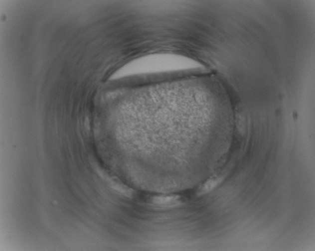 X0000075840375200610061853