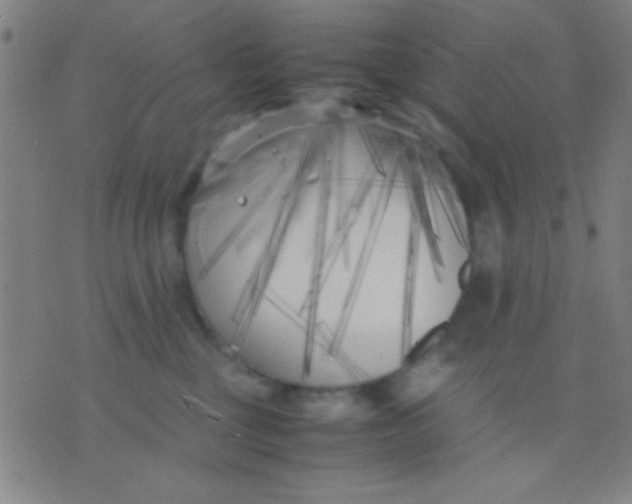 X0000075840377200610061853